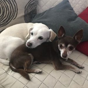 Meet your Posher, Alma